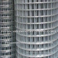 Best Price of Weled Wire Mesh (Direct Foctory)